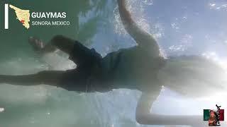 SNORKEL EN GUAYMAS SONORA MEX, TIGRE DEL DESIERTO 2 0