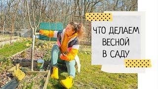 Важные работы в саду весной | Уход и обработка сада весной