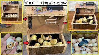 World's First HOT WIRE EGG INCUBATOR -  Make Egg Incubator In wooden box And HATCH CHICKS AT HOME