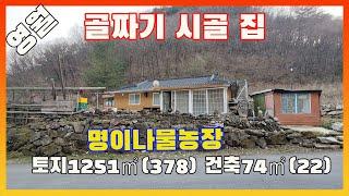 [물건번호2511]영월군 상동읍  골짜기   명이 나물 시골주택  매매 합니다,  강원도 산골짜기 시골집 입니다,  두릅 명이나물 재배하면서 공기맑은 곳에서 생활하실분께 추천합니다