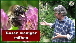 Weniger Rasen mähen - Mehr Artenvielfalt im Garten