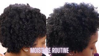 Updated Moisturizing Routine | Type 4 Low Porosity Natural Hair