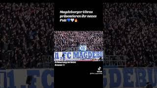 Magdeburger Ultras #bundesliga #football #fcmagdeburg #ultras #viralvideo #fußball