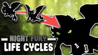 NIGHT FURY Life Cycles ⏳️ | How To Train Your Dragon