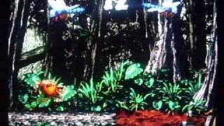 Donkey Kong Country 2: Diddy's Kong Quest: Jungle Jynx