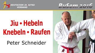 Jiu-Jitsu / Hebeln-Knebeln-Raufen / Peter Schneider