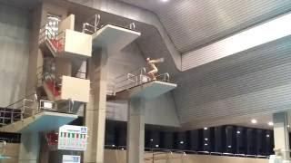 Sprung vom 3 aufs 5 Meter und von 7,5 Meter aufs 10 Meter !!!!!