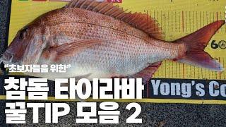 하온아빠의 낚시노트 -참돔 타이라바2편-