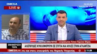 Αγλαντζιά αλεπούδες