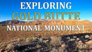 Exploring Gold Butte National Monument