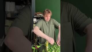 Солнечный букет своими руками