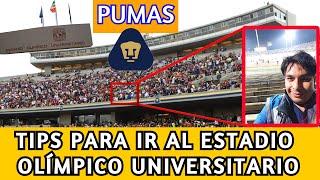 TIPS PARA IR AL ESTADIO OLÍMPICO UNIVERSITARIO PUMAS DE LA UNAM