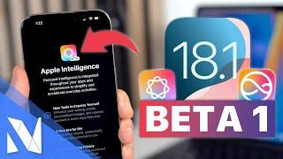 iOS 18.1 Beta 1 - Was ist neu? (Apple Intelligence Features + Nutzung in der EU) | Nils-Hendrik Welk