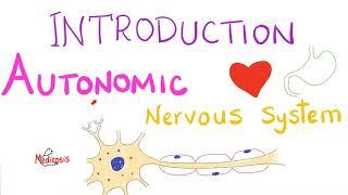 Autonomic Nervous System