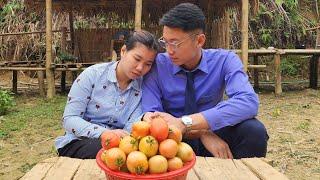 How will the love story of the young girl Lindan and the prosecutor begin? Lý Tử Lindan