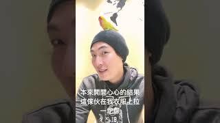 這飾品很酷！我本來不知道#mickytolife