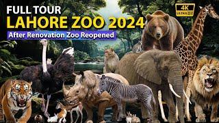 Lahore Zoo Reopened  || Lahore Zoo 2024 Latest Video ||Lahore Zoo 2024 || Lahore Zoo Renovation