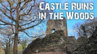 Mysteries of the Welsh Castle in the Woods