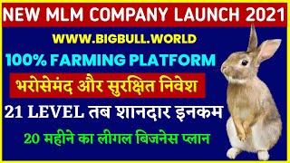 New Mlm Company Launch 2021 | BIGBULL | New Nonworking Plan | Best Mlm Plan | New Roi Plan