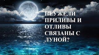 НЕУЖЕЛИ ПРИЛИВЫ И ОТЛИВЫ СВЯЗАНЫ С ЛУНОЙ?