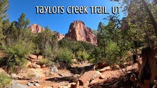 Hiking Taylors Creek, UT