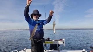 A day targeting snook & King George whiting in the pristine waters of South Australia.