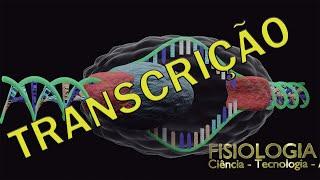 Aula 26 - Transcrição do DNA (Biologia Molecular com animação)