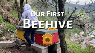 Beekeeping for Beginners  1. Installing our First Beehive | #beekeeping #bees #honey #france #alps