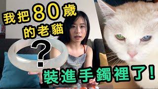 用貓咪做成的真花手鐲！＋80歲老貓最美的紀念【比比BeBe】