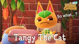 Tangy The Cat Peppy Villager Animal Crossing New Horizons ACNH