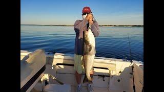 F*#%K Cancer!!! Chunking for Big Striped Bass with Doc!!!