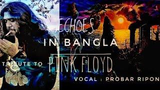 Echoes  - Pink Floyd - in Bangla || Probar Ripon