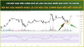 Chỉ Một Nhịp Điều Chỉnh Nhỏ Làm Cho Nhiều Bạn Cháy Tài Khoản - Rủi Ro Của Người Khác Lại Là Cơ Hội