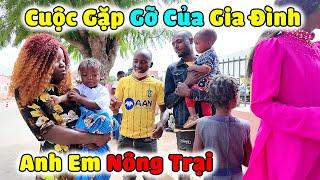 Cuộc Gặp Gỡ Của Gia Đình Tất Cả Anh Em Nông Trại