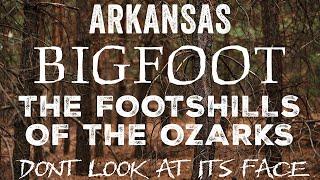 BIGFOOT ENCOUNTERS IN THE FOOTHILLS OF THE OZARKS (ARKANSAS) IT HAD HAIR COVERING ITS FACE!!!