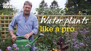 How to water plants effectively