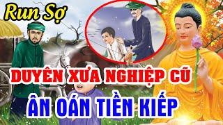 Duyên Xưa Nghiệp Cũ, Ân Oán Từ Tiền Kiếp | Nhân Quả Báo Ứng Rợn Người - Gieo Nhân Nào Gặt Quả Nấy