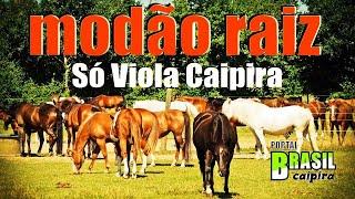 Moda de Viola, Músicas Caipiras e Sertanejo Raiz - Música Caipira E Moda De Viola