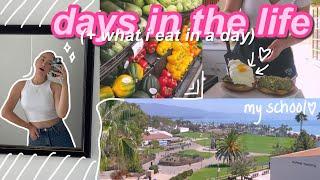 WHAT I EAT IN A DAY as an international student in santa barbara! DAYS IN THE LIFE 