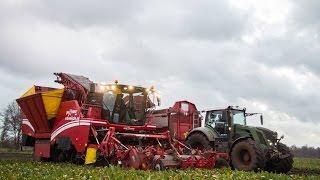 Harvesting sugerbeets with Grimme Maxtron at van den borne aardappelen season 2014