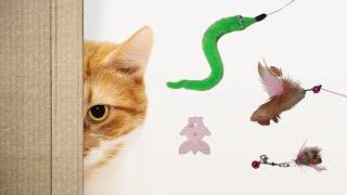 The video that cats like changes every three minutes. Cat Toys Collection Part 1