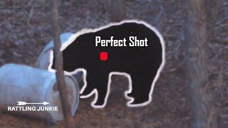 PERFECT SHOT ON 7 Foot SPRING BEAR (Manitoba Bowhunt)