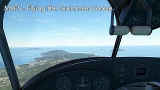 MSFS - Flying the Grumman Goose
