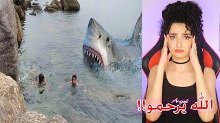 أقوى 10هجمات القرش المخيفة في العالم التي تعرض لها البشر ..!!