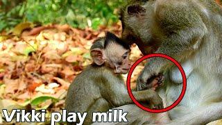 Poor little monkey Vikki want play nipples mom make mom angry and warn to baby Vikki