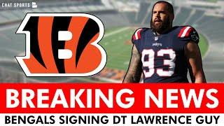 BREAKING: Bengals Signing Veteran DT Lawrence Guy To 53-Man Roster | Bengals News & Reaction