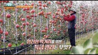 안전한 먹거리를 위한 특급 방법!? | PLS 제도 | MBN 생생 정보마당