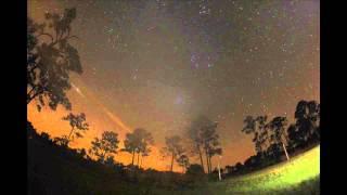 Starry Night on the Florida Panther National Wildlife Refuge