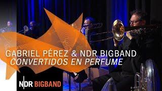 NDR Bigband feat. Gabriel Pérez: Convertidos en Perfume | NDR