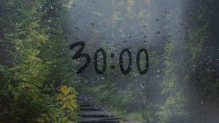 30 Minute timer with rain sounds